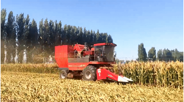 新疆牧神再添重器 | 国内..自走式制种玉米收获机首试成功！